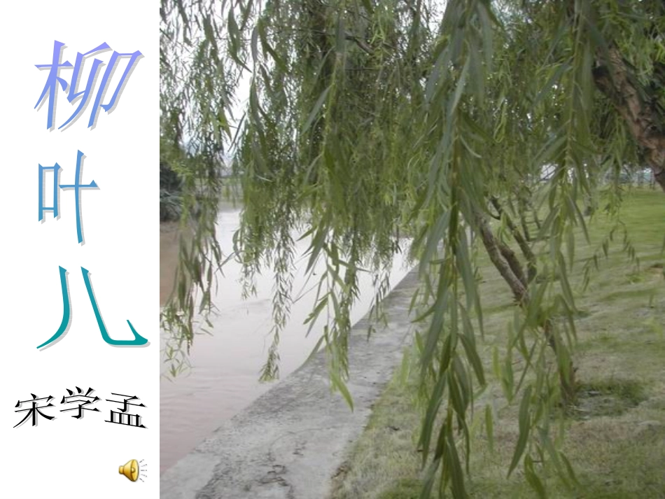 柳叶儿 (3)_第3页