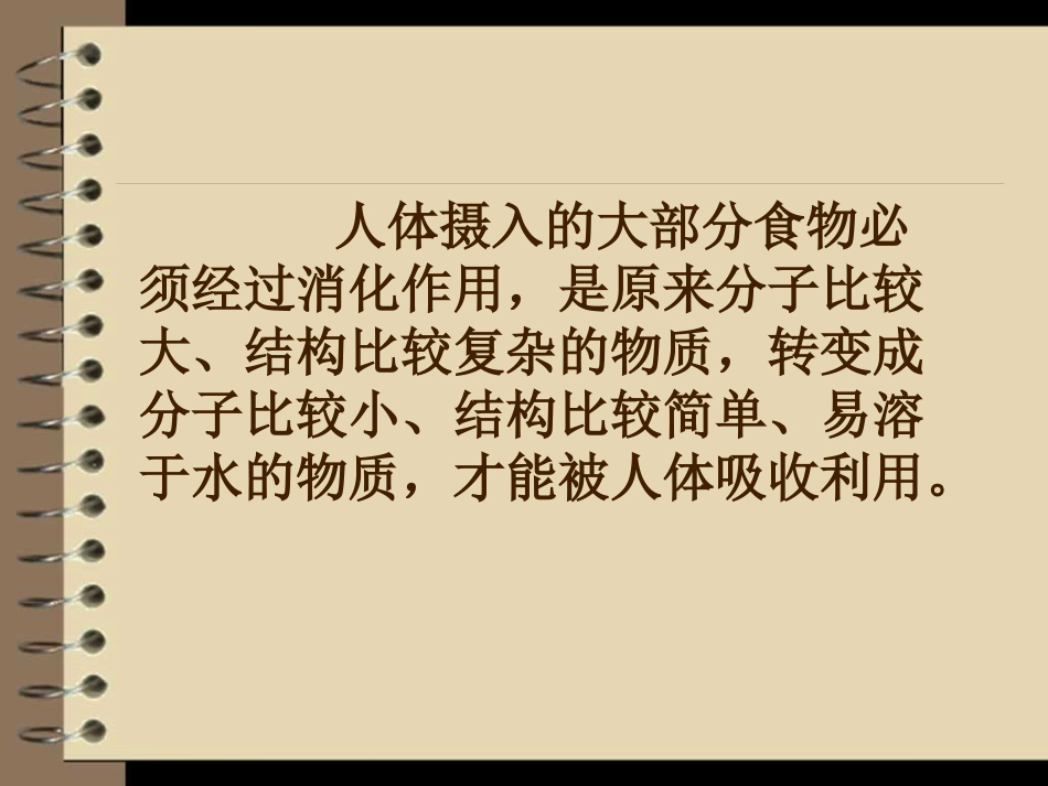 人体对食物的消化吸收_第3页