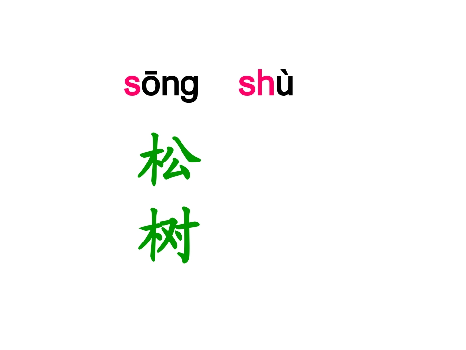 小松树和大松树_课件_第1页