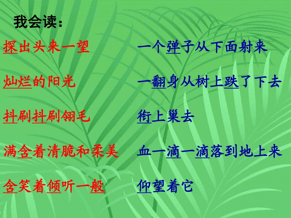 《一只小鸟》课件[1] (3)_第3页