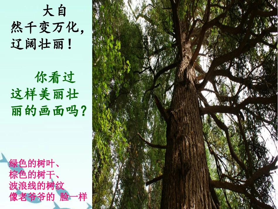 一年级：壮观的大世界_第2页