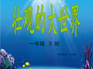 一年级：壮观的大世界
