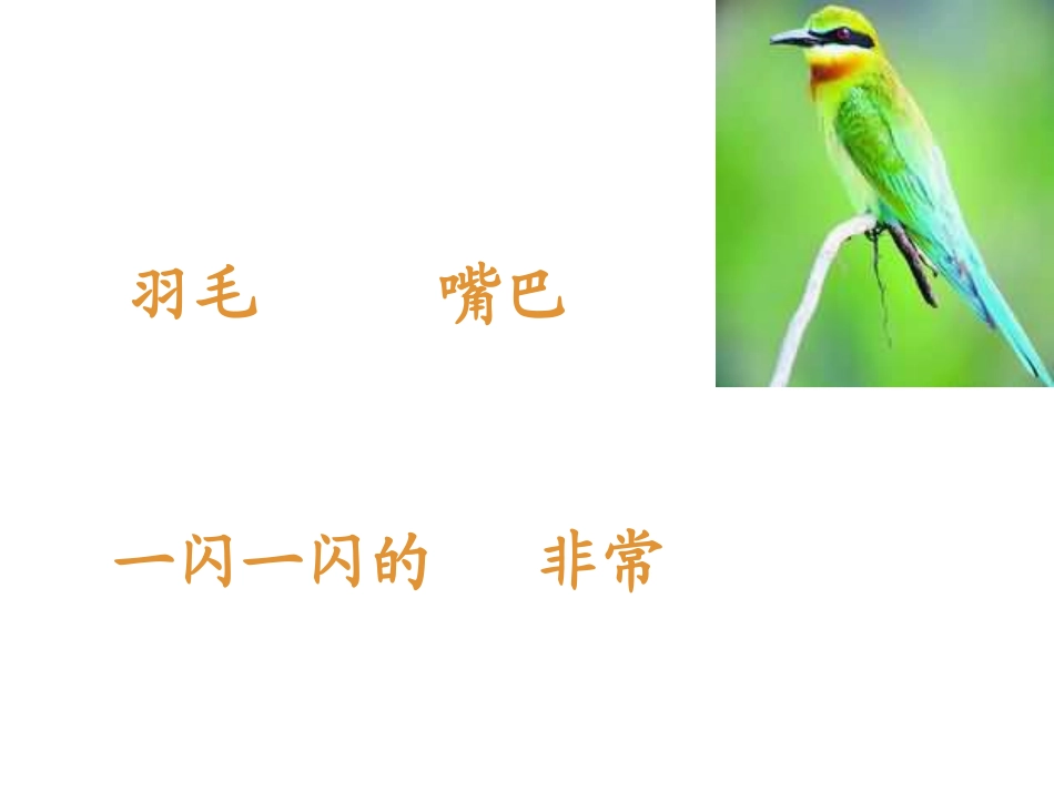 放小鸟第二课时 _第2页