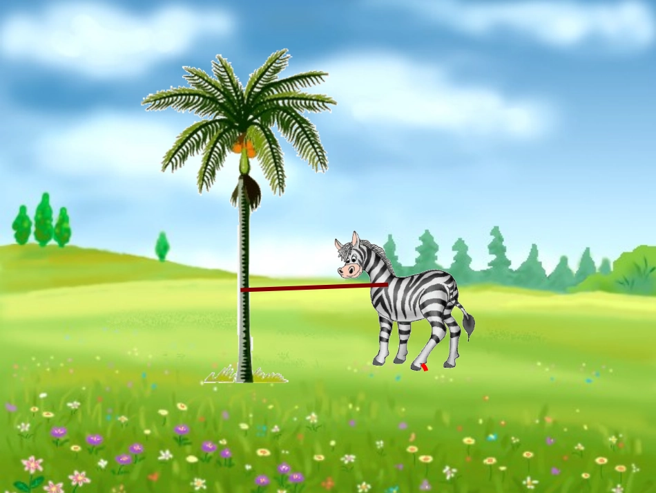 人教版六年级数学上册圆的面积教学课件_第3页