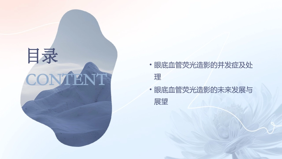 眼底血管荧光造影课件_第3页