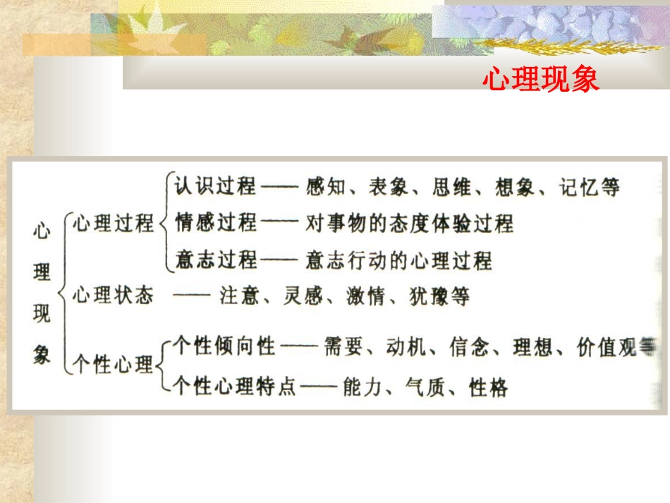 教育心理学二_第3页