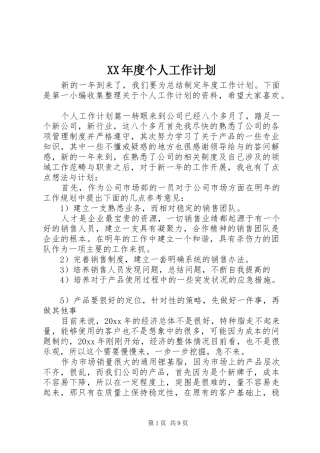 XX年度个人工作计划 