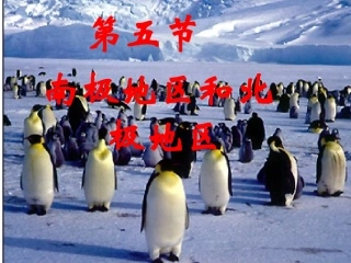 北极地区和南极地区