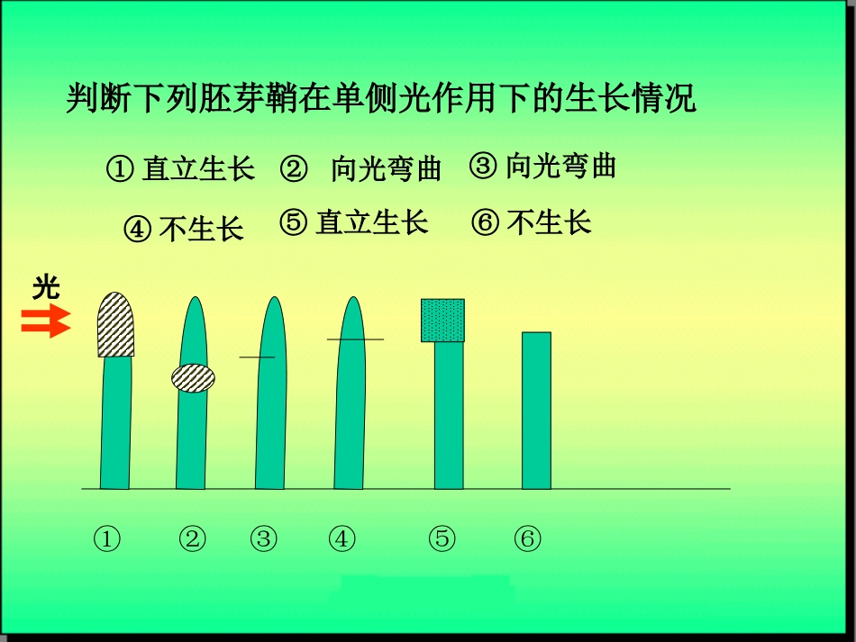植物的激素调节_第2页
