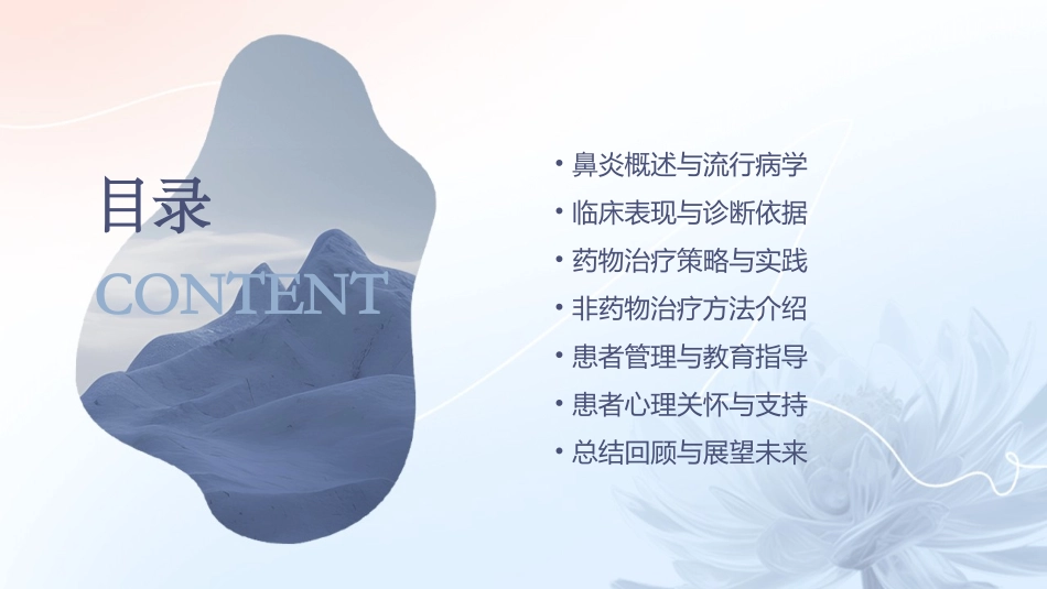 耳鼻喉科之鼻炎诊疗指南_第2页