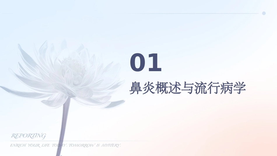 耳鼻喉科之鼻炎诊疗指南_第3页