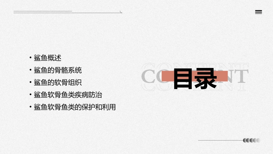 鲨鱼软骨鱼类课件_第2页