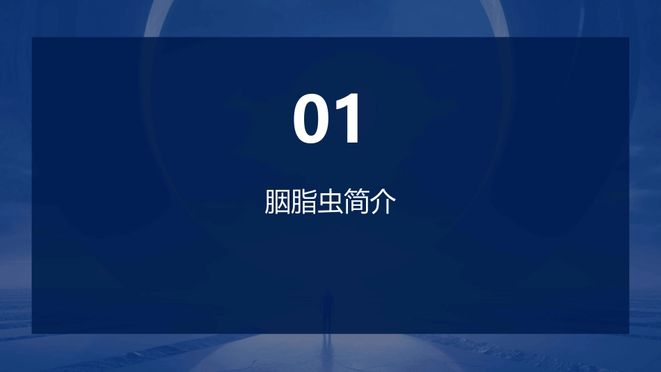 胭脂虫简介及其红色素的提取课件_第3页