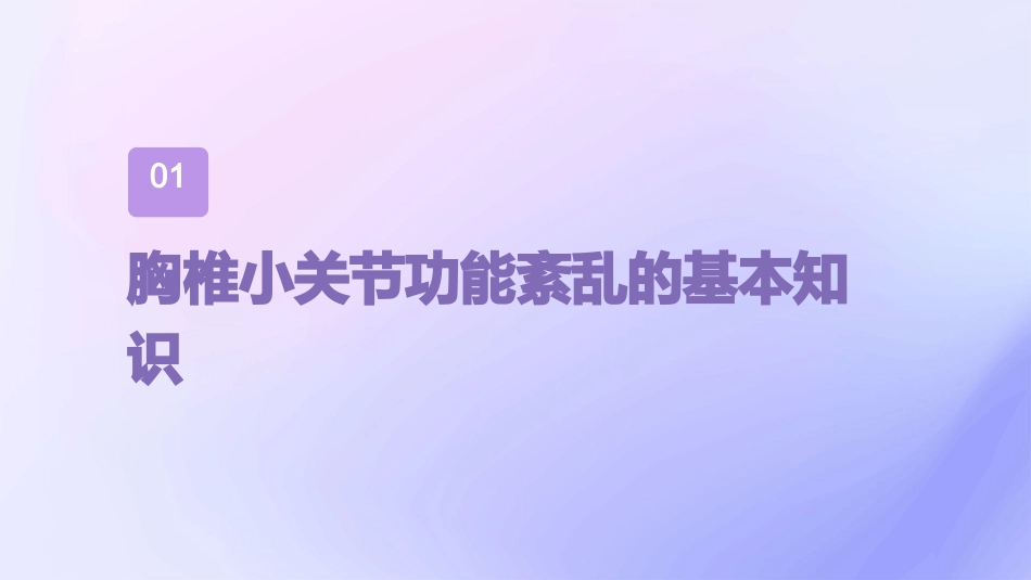 胸椎小关节功能紊乱的诊治张向远全解课件_第3页