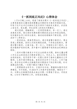 《一抓到底正风纪》心得体会