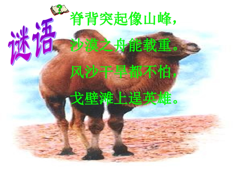 人教版小学语文三年级上册《找骆驼》PPT课件 (2)_第2页