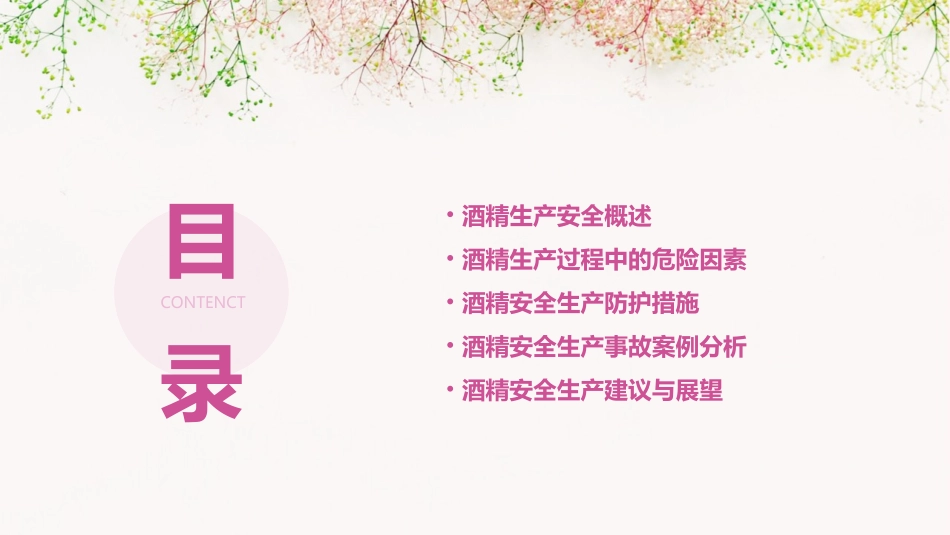 酒精安全生产知识课件_第2页