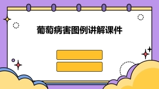 葡萄病害图例讲解课件