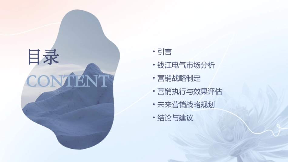 钱江电气营销战略报告(完整数据版)课件_第2页