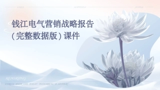 钱江电气营销战略报告(完整数据版)课件