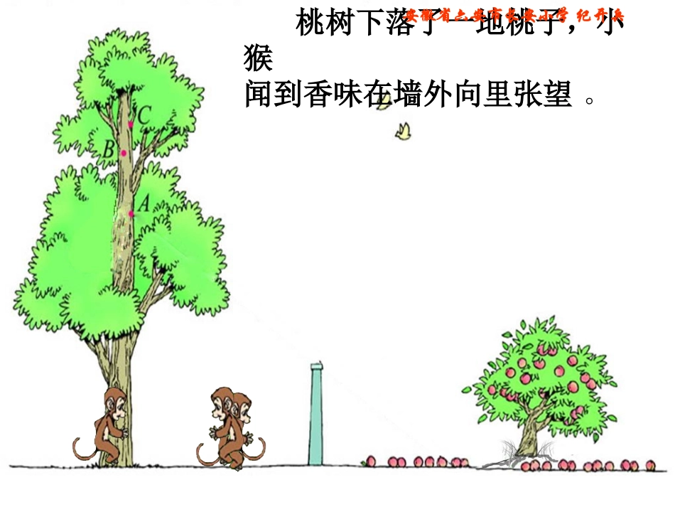 北师大版六年级数学上册《观察的范围》PPT课件_第2页