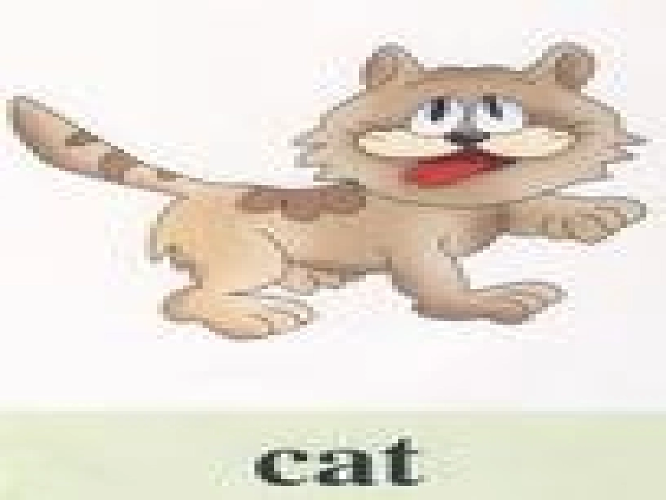 小学英语PPT课件《动物》[1]_第2页