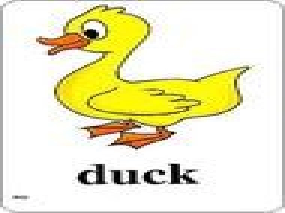 小学英语PPT课件《动物》[1]_第3页