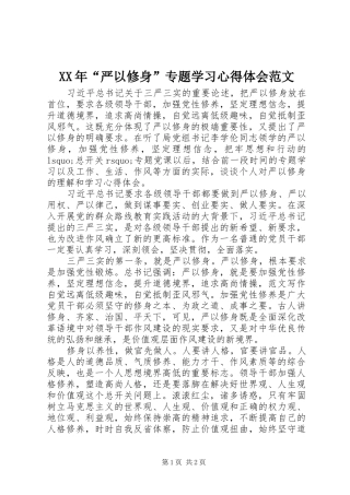 XX年“严以修身”专题学习心得体会范文