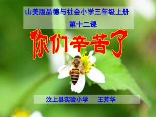 你们辛苦了演示文稿