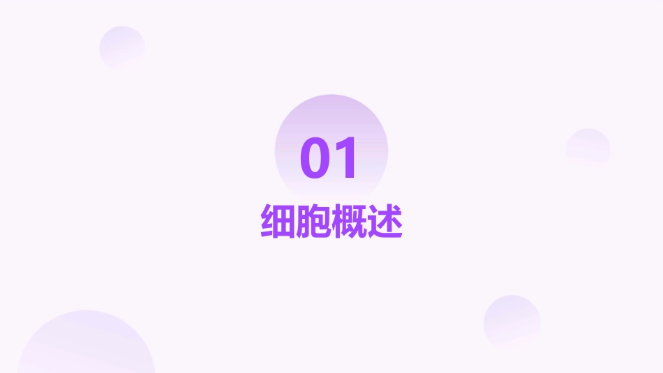 细胞的生命周期课件_第3页