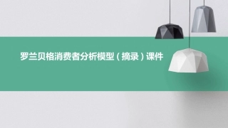 罗兰贝格消费者分析模型(摘录)课件