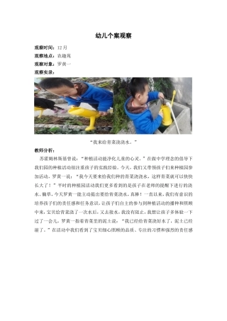 我来给青菜浇浇水