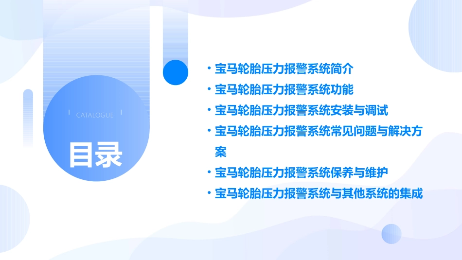轮胎压力报警系统宝马课件_第2页