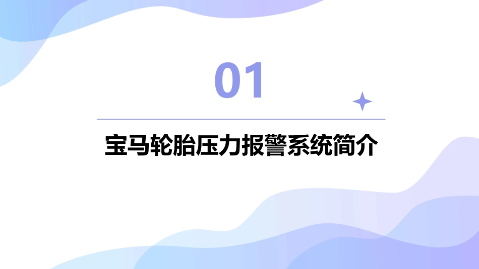 轮胎压力报警系统宝马课件_第3页