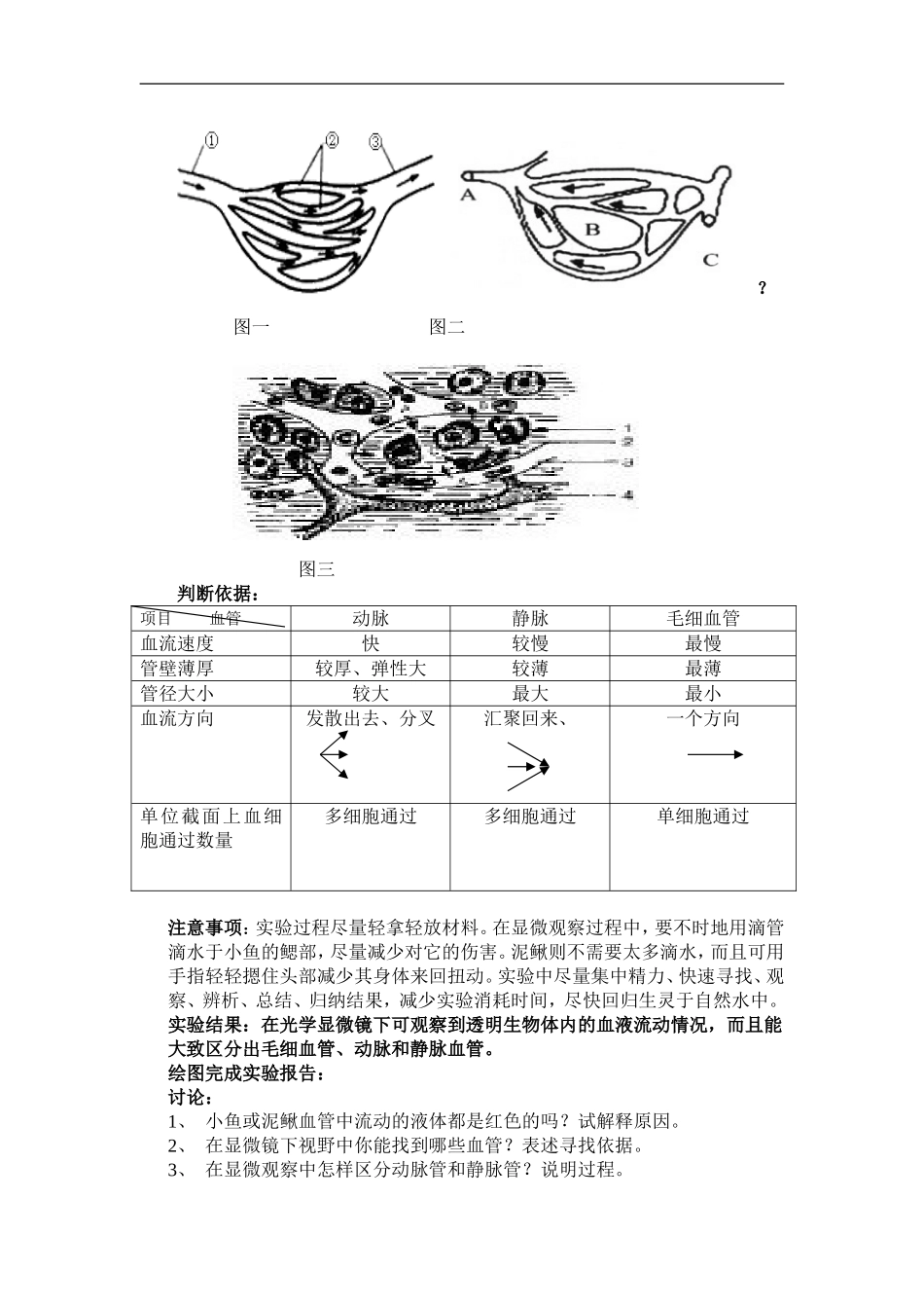 实验教学经验点滴（太原教育园区学校贾雪萍）_第3页