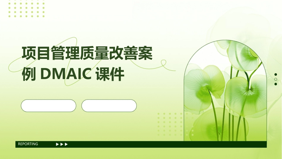 项目管理质量改善案例DMAIC课件_第1页