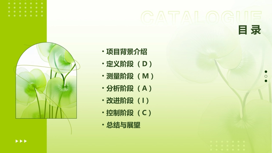 项目管理质量改善案例DMAIC课件_第2页