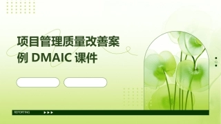 项目管理质量改善案例DMAIC课件