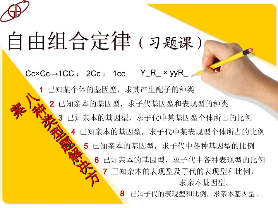 人教版_孟德尔自由组合定律(习题类型总结)—八种题型解决方案_第1页