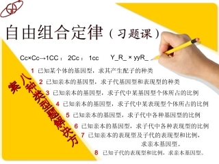 人教版_孟德尔自由组合定律(习题类型总结)—八种题型解决方案