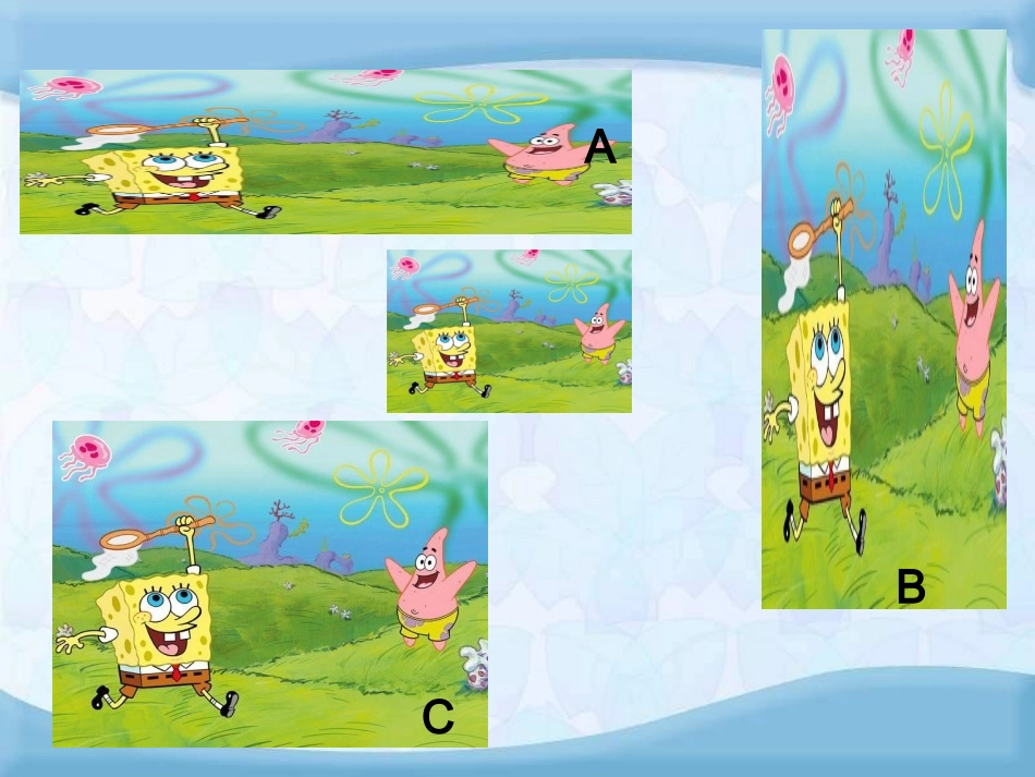 图形的放大与缩_第2页