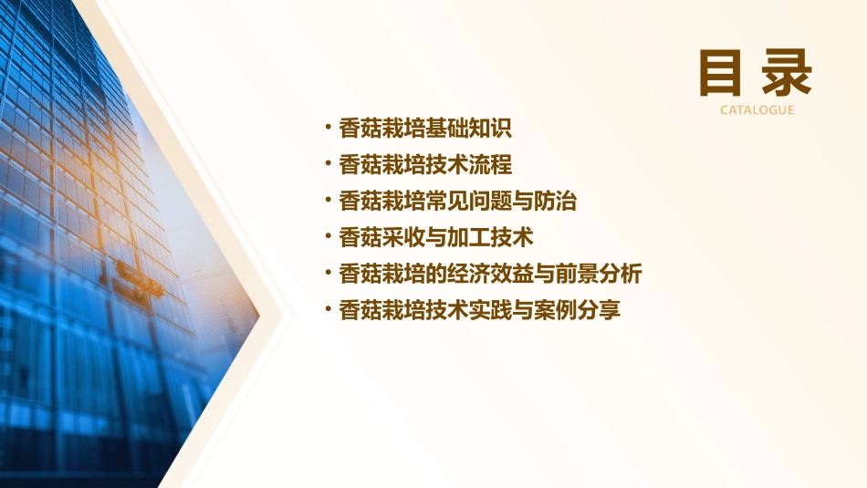 香菇栽培技术课件_第2页