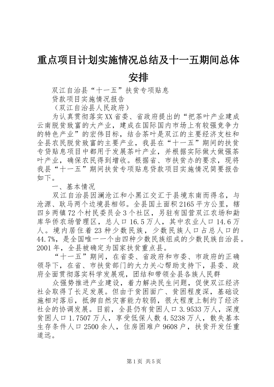 重点项目计划实施情况总结及十一五期间总体安排 _第1页