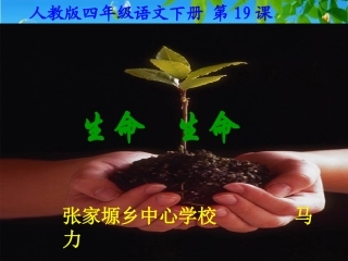 人教版四年级语文下册《生命生命》课件