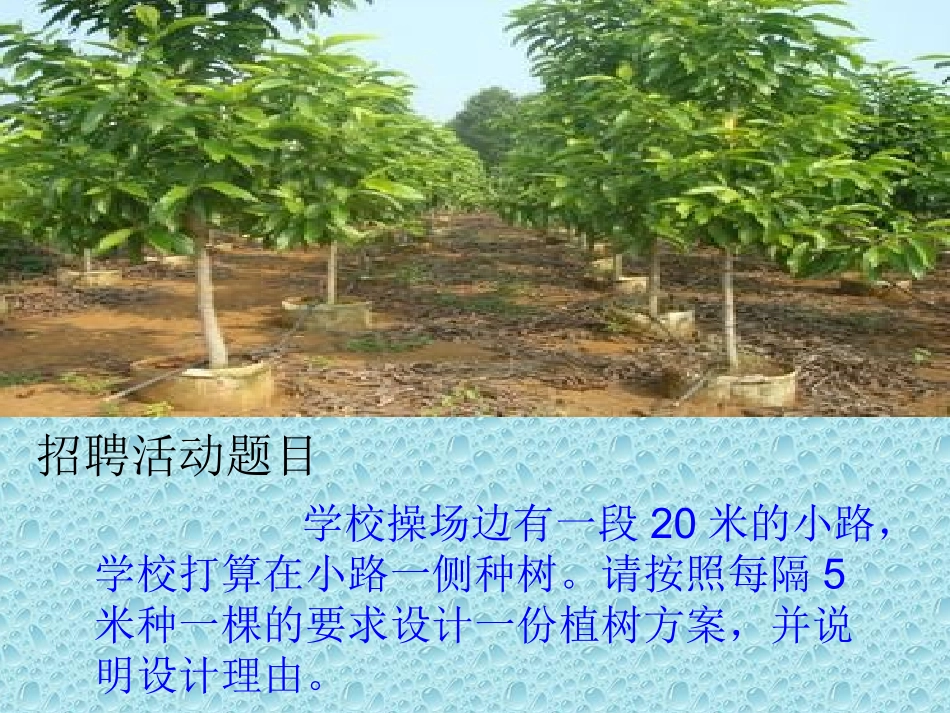 四年级下册《数学广角》_第3页