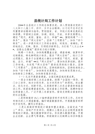 县统计局工作计划 