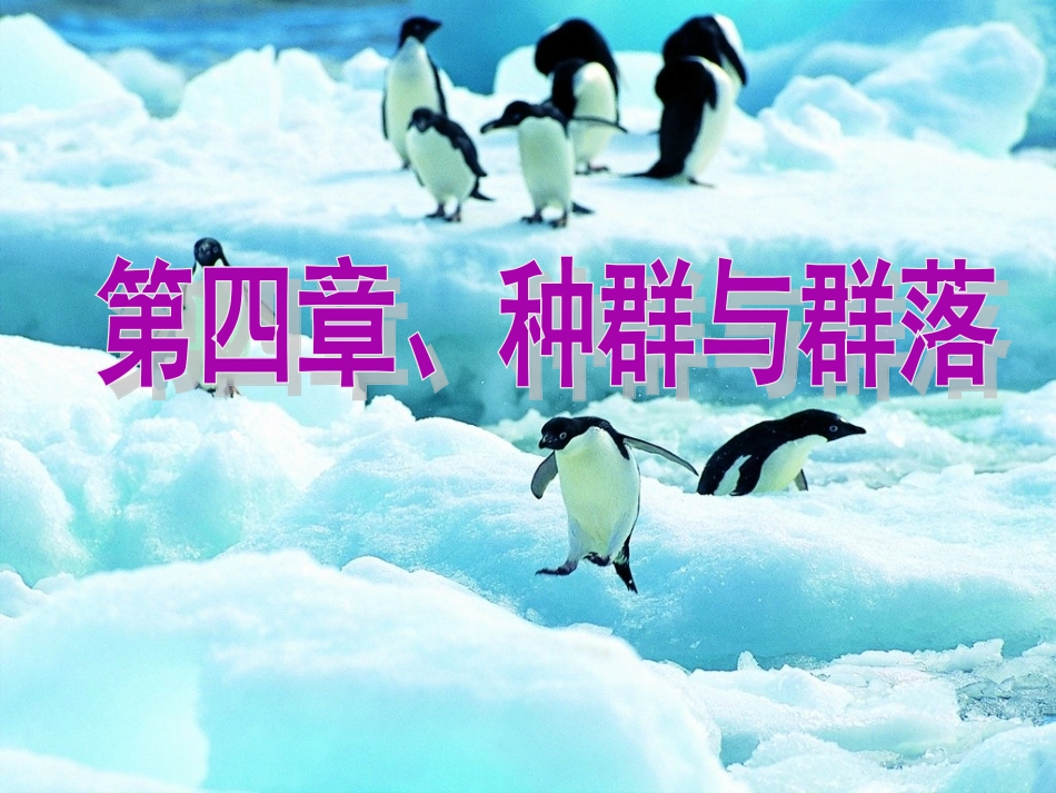 必修三第四章_第1页