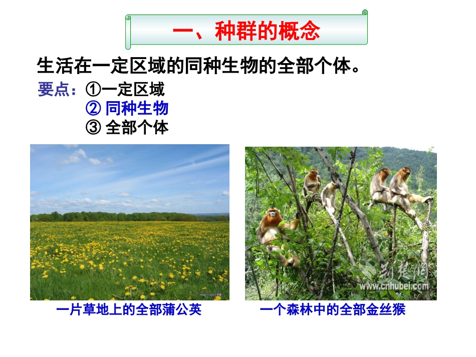 必修三第四章_第2页