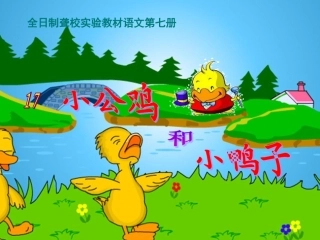 小公鸡和小鸭子