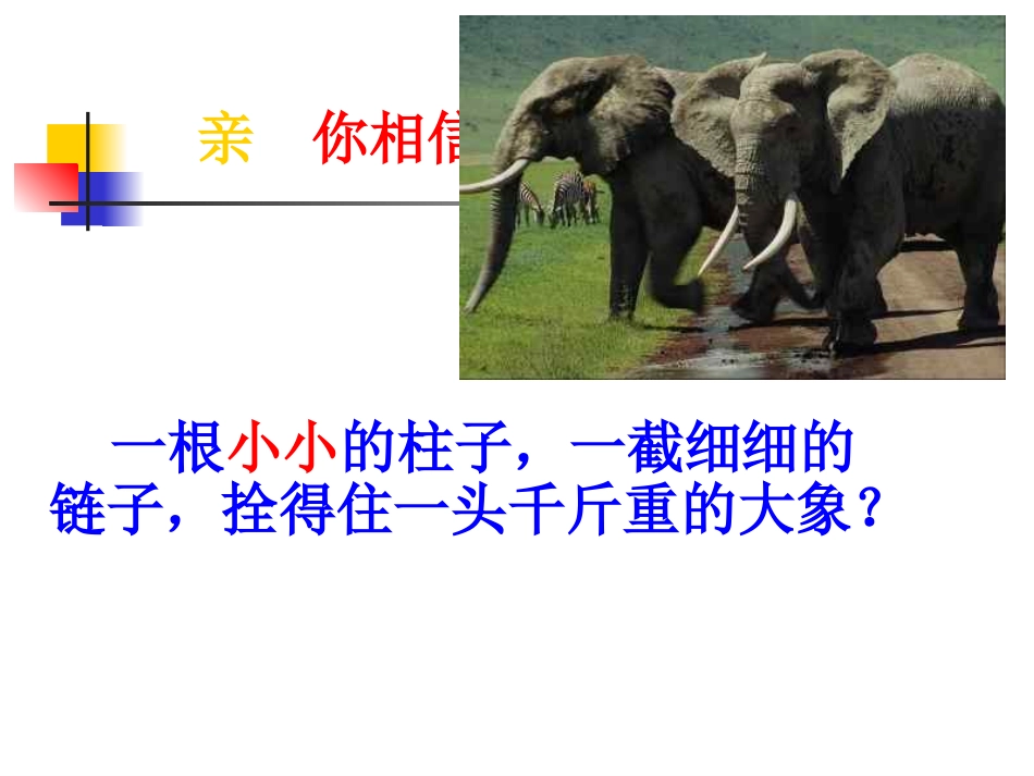 好习惯成就好人生_主题班会课件_第2页